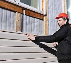 Best Historical Building Siding Restoration  in Phillips, WI